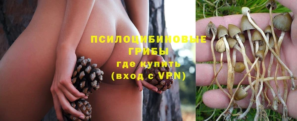 таблы Беломорск