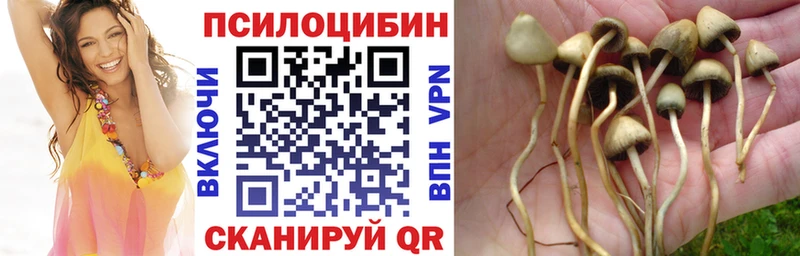 Галлюциногенные грибы мицелий Всеволожск